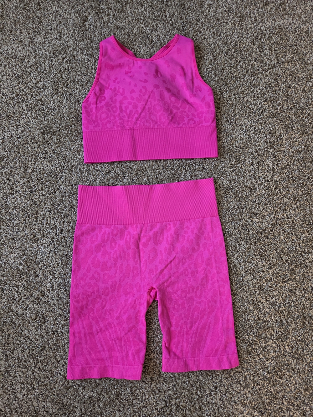 Sofia Vergara Bright Hot Pink Active Set